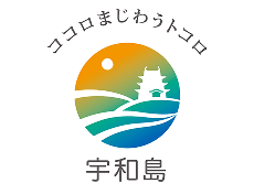 Election Logo